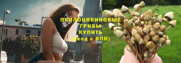 круглые Алексеевка