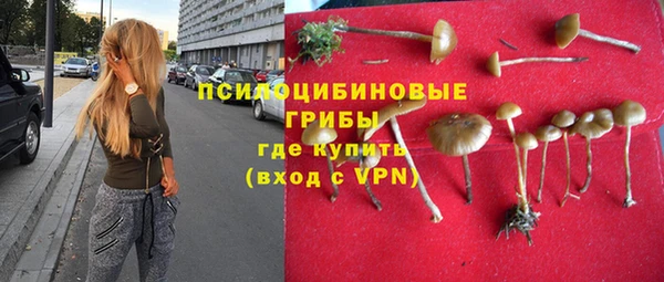 PSILOCYBIN Армянск