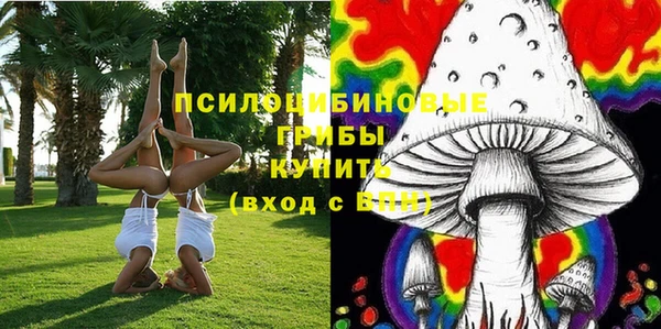 мяу мяу мука Аркадак