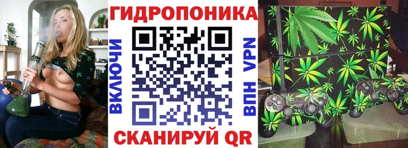 Шишки марихуана планчик Кизел